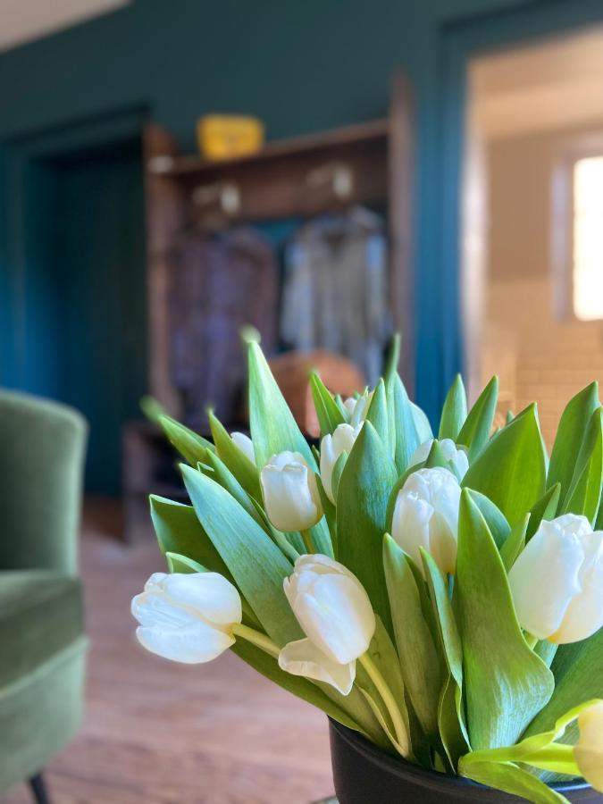 Bed & Breakfast La Tour Yveline Romans-sur-Isere